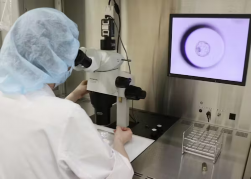 三代供卵试管与试管婴儿区别：技术迭代意味着什么？