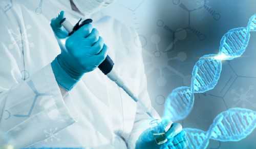 一代试管技术中的促排卵环节